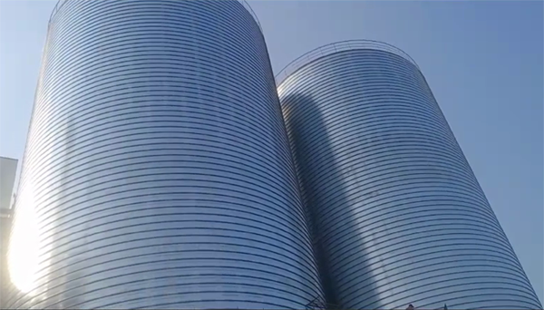 南坤镇2座混凝土高架卷板仓